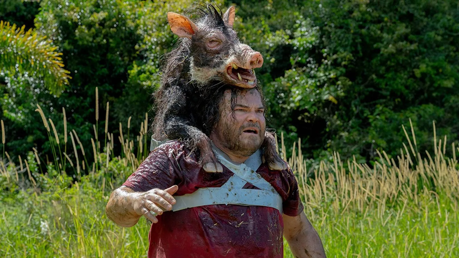 The Studio's Giant Snake Movie Reboot Proves to Be a Really Good Concept