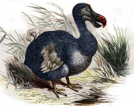 Scientists State They’ve Made a ‘Major Breakthrough’ in Bringing Back the Extinct Bird for the Initial Instance in Multiple Generations
